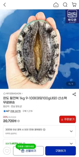 활전복 1kg 9-10미 외 다양 산소팩
