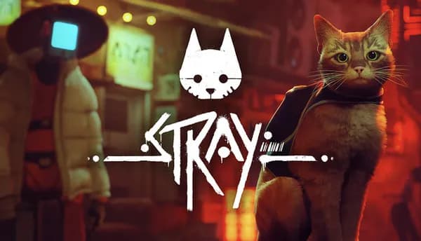 Stray 50% 할인