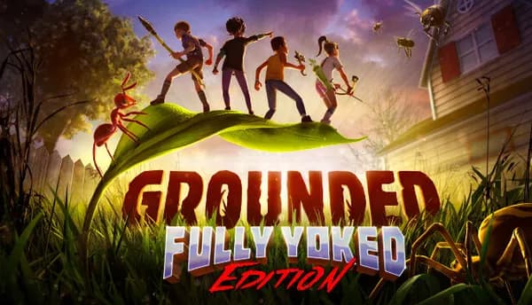 Grounded 50%