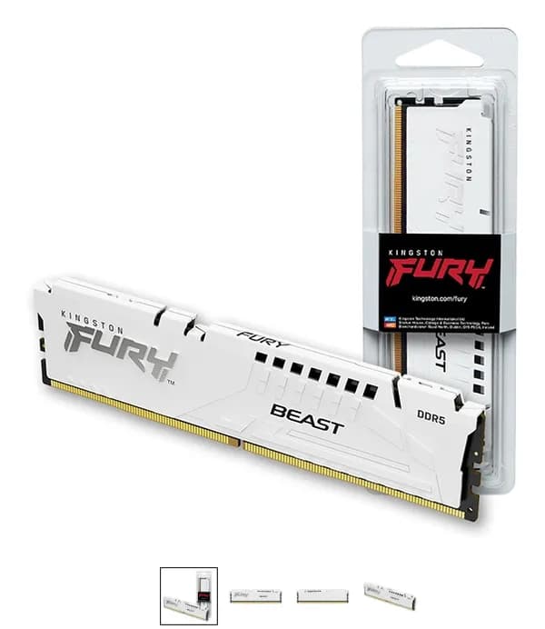 Kingston FURY DDR5 PC5-44800 CL36 Beast 32GB 화이트