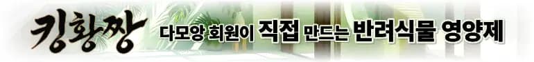 국내산 전라도 배추김치 포기 김장 김치 2kg