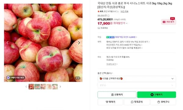 국내산 안동 홍로사과 2kg 8,900원/무배