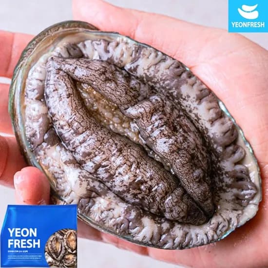 완도 활 전복 1kg 9-10미