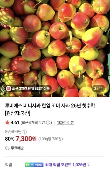루비에스 미니사과 한입 꼬마 사과 500g