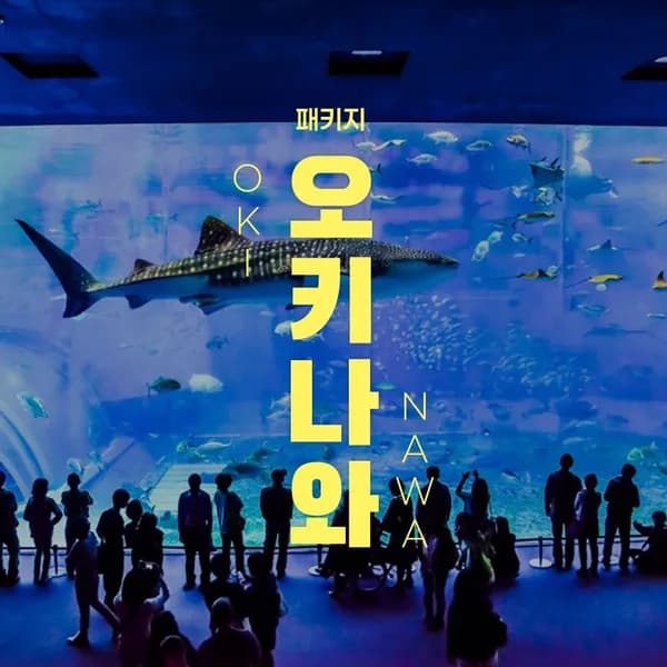 오키나와 3박 4일 천연온천 + 1일 자유일정 vs 선셋크루즈 + 나하 워킹투어