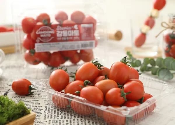 스테비아 대추방울토마토 2kg (9,940원/무료)