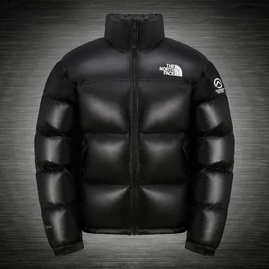 노스페이스 퀀텀 눕시