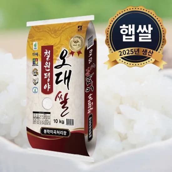 철원오대쌀 10kg