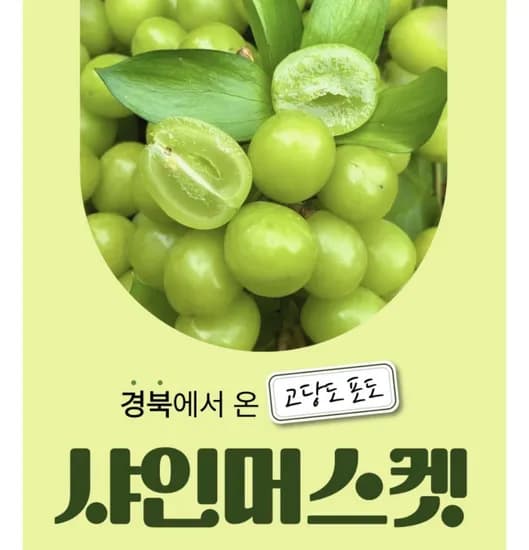 샤인머스켓 1kg