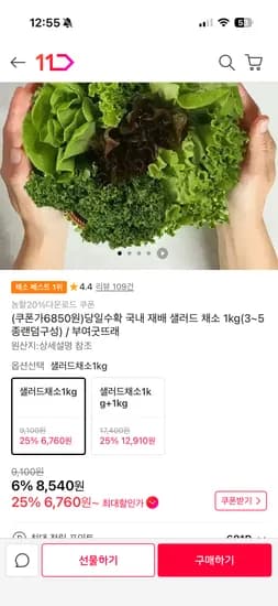 5종 샐러드 채소 1kg