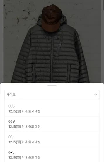 헤지스 경량 구스 다운