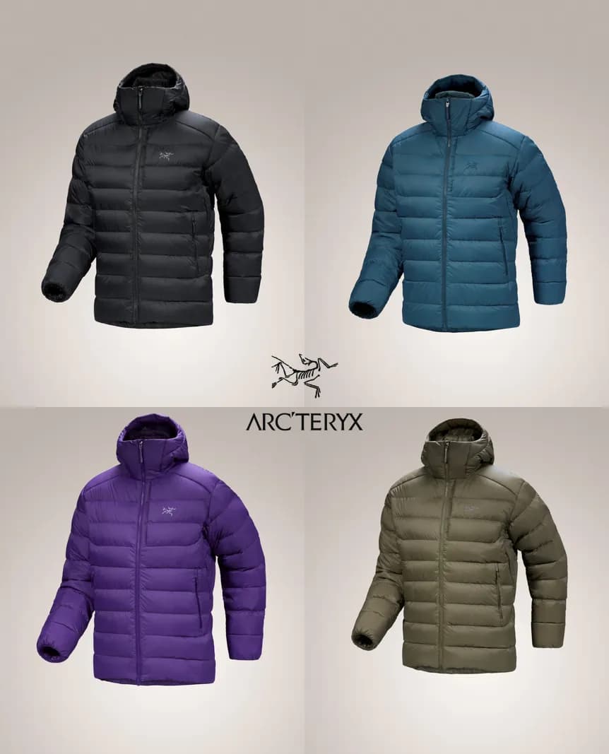 아크테릭스 토륨 후디