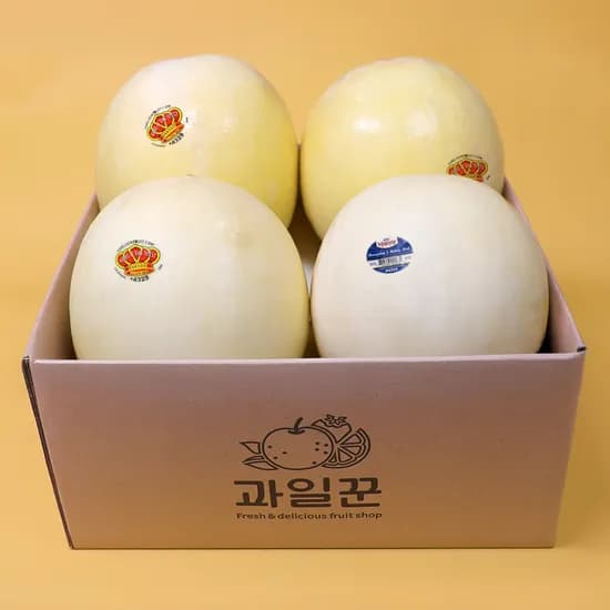 허니듀 멜론 3.6kg 15,900