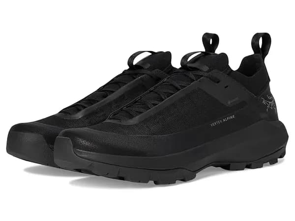 아크테릭스 Vertex Alpine GTX