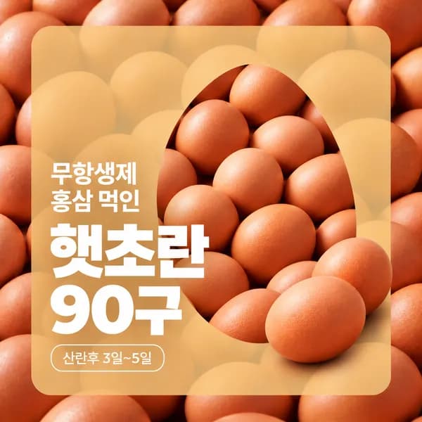 무항생제 햇초란 90구 9,900원