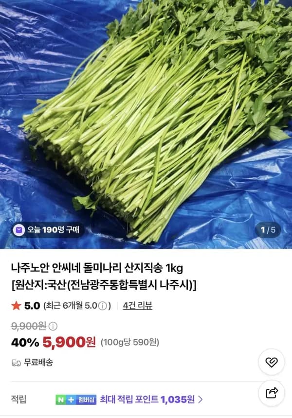국내산 돌미나리 산지직송 1kg 5,900원