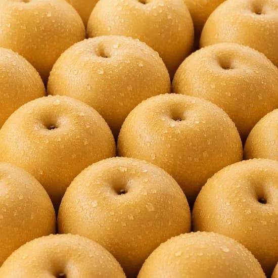 국내산 햇 배 5kg 혼합과 특품 프리미엄 달콤아삭 시원아삭
