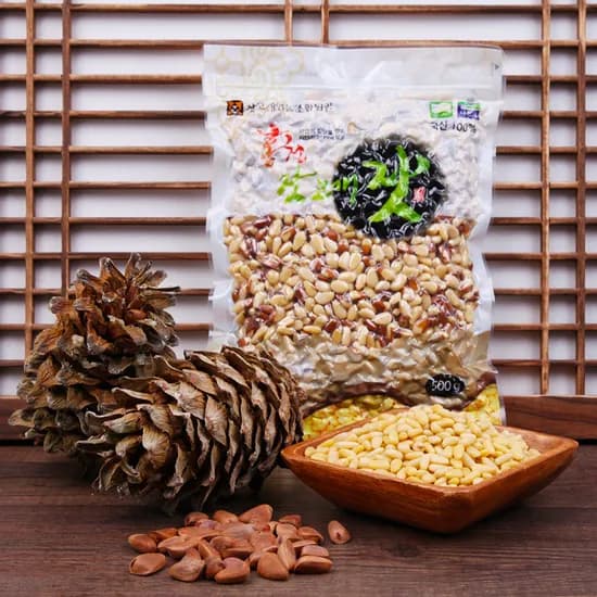 강원도 홍천 잣 백잣 황잣 500g 25년 햇잣