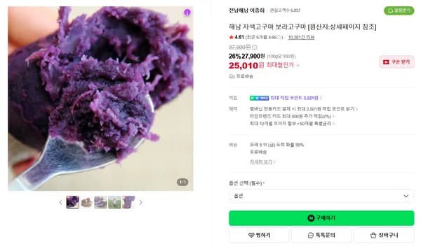 해남 자색고구마 보라고구마