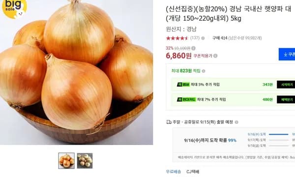 국내산 햇양파 대 개당 150~220g 내외 5kg