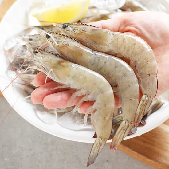 생물 새우 1kg 35미내외 당일새벽 조업분 출고 100%국내산