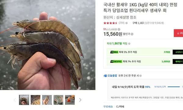 국내산 활새우 1kg 당일조업