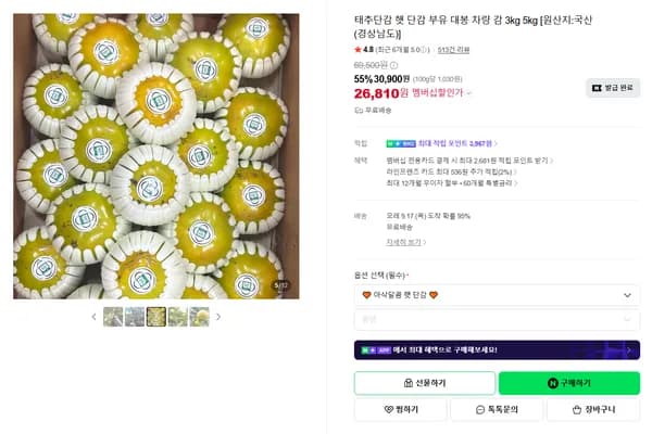 태추단감 햇 단감 부유 대봉 차량 감 3kg 5kg