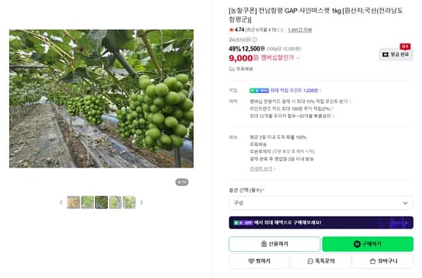 전남함평 GAP 샤인머스켓 1kg