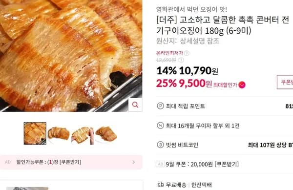 콘버터 전기구이 오징어 180g (6-9미)
