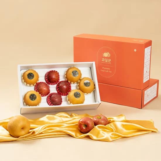 하루특가) 과일꾼 사과배 혼합 선물세트 1호, 사과 4개 + 배 5개, 4kg, 1박스