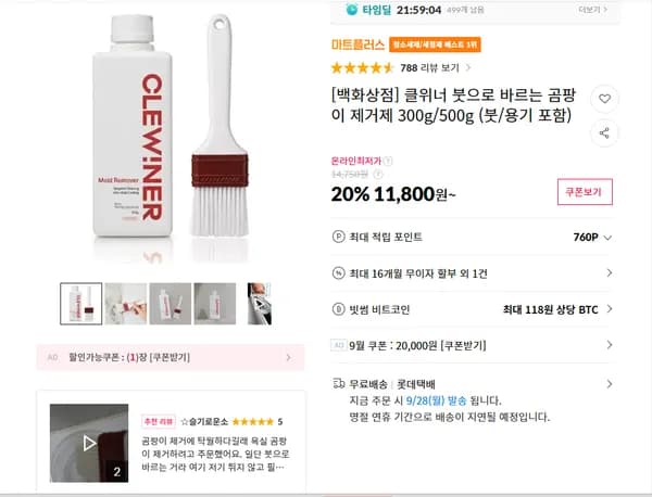 클위너 붓으로 바르는 곰팡이 제거제 300g/500g
