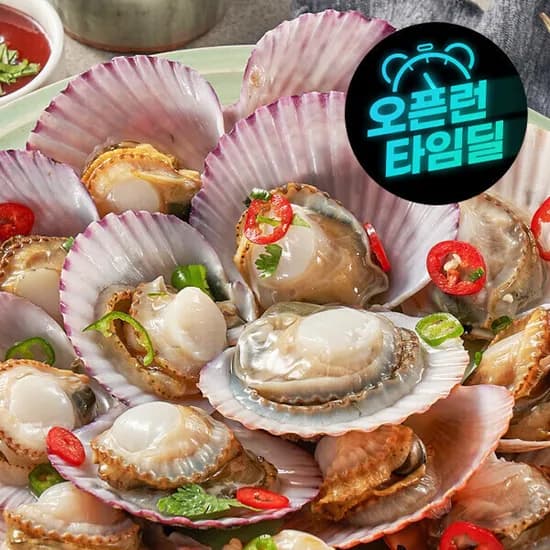 통영산 최상급 활 가리비 3kg 대 75미 내외