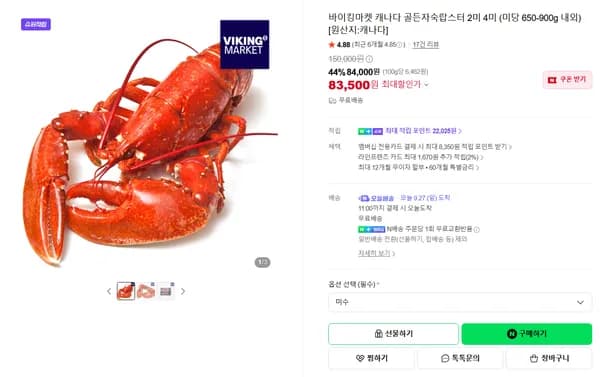 바이킹마켓 캐나다 골든자숙랍스터 2미 4미 미당 650-900g