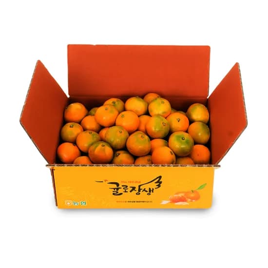 제주농협 귤로장생 하우스감귤 4.5kg 소과