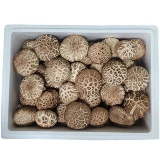 무안 도담 생 표고버섯 1kg