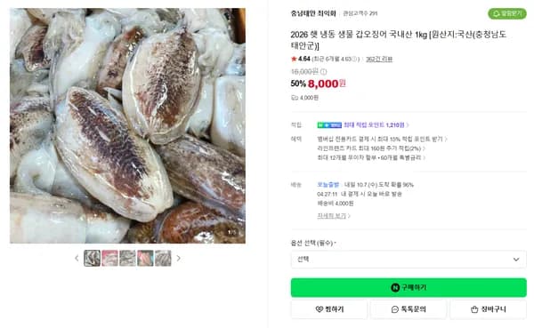 2026 햇 냉동 생물 갑오징어 국내산 1kg