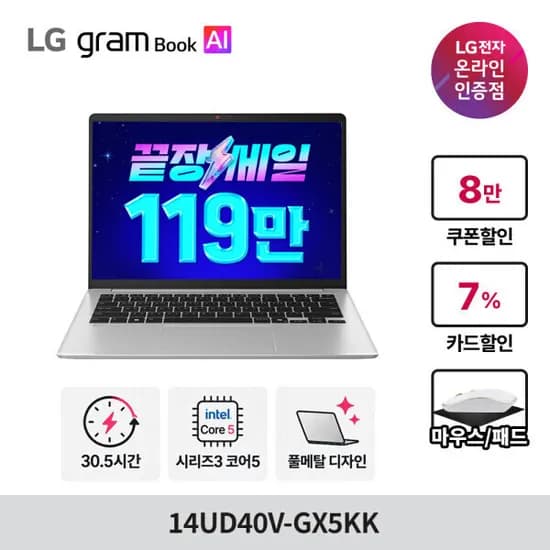 LG 그램북 14 14UD40V-GX5KK 그램북 와일드캣레이크 16GB 256GB