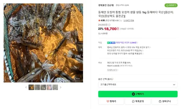 동해안 오징어 통찜 오징어 생물 냉동 1kg 동해바다 국산