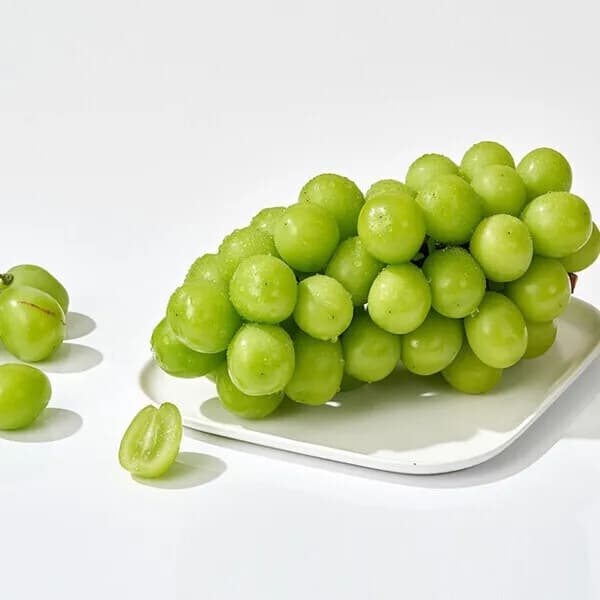 참마루 고당도 샤인머스켓 3kg(3~6수)_가정용 11,820원