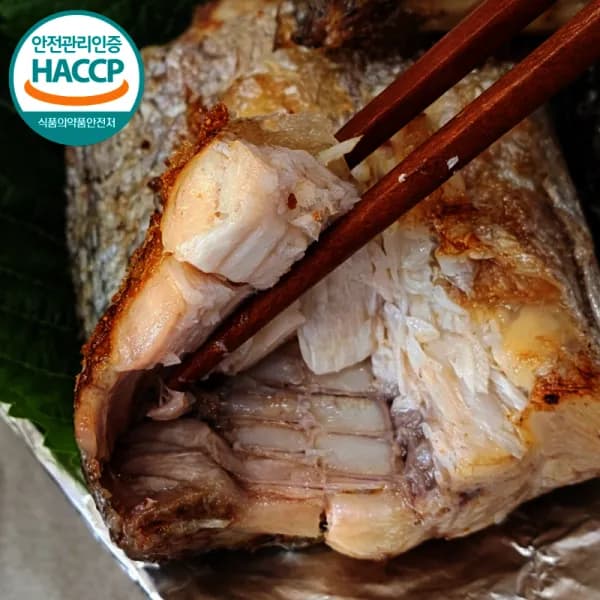 두툼한 토막갈치 5지 왕특대 갈치 1kg 손질 대왕갈치 (500g+500g)