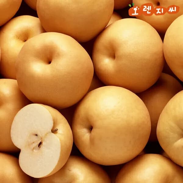 가정용 배 5kg 나주배