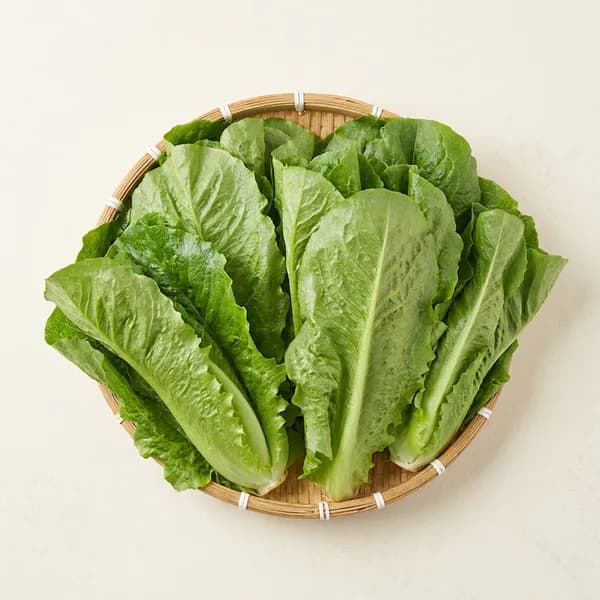 국내산 로메인상추 2kg 1박스