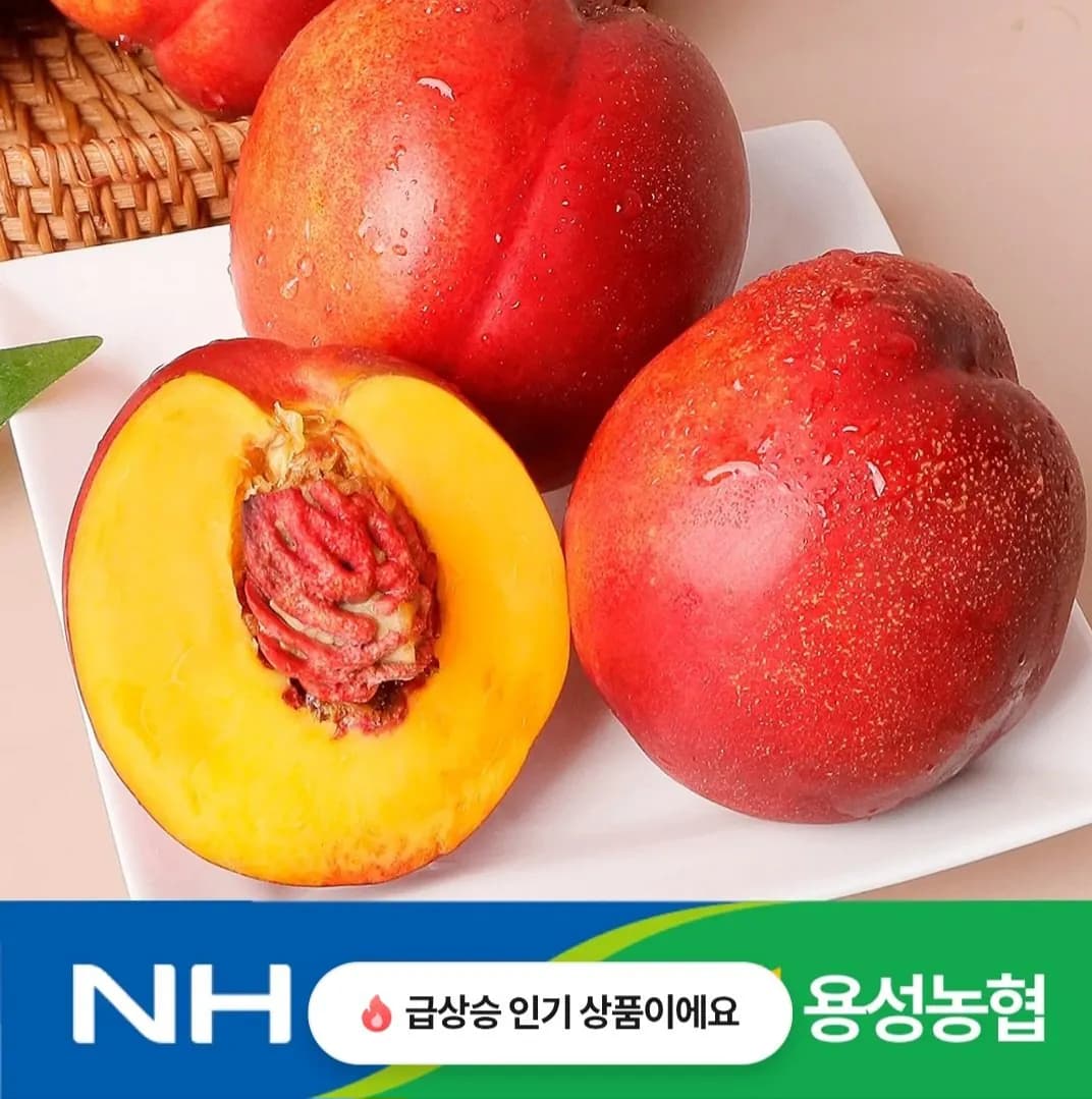 삭제된 게시글입니다.