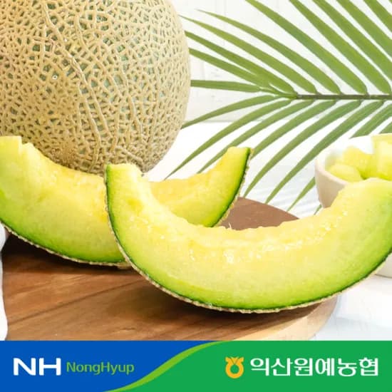 국내산 머스크메론 3.2kg 2수