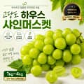 국내산 고당도 하우스 샤인머스켓 2kg 4수