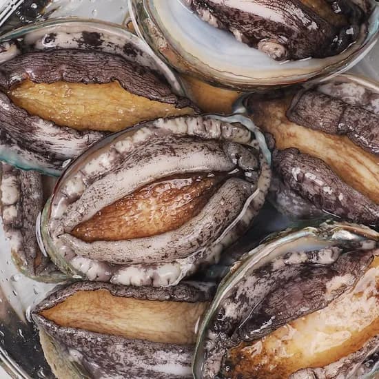 완도 활전복 1kg (11-12미) 특대