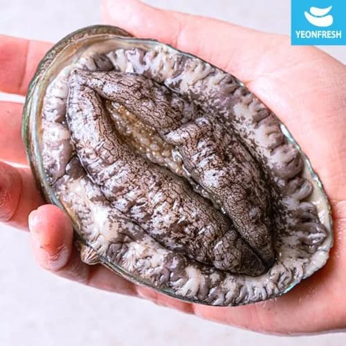 완도활전복 1kg 9~10미