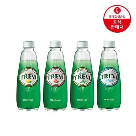 트레비 탄산수 300ml 40펫
