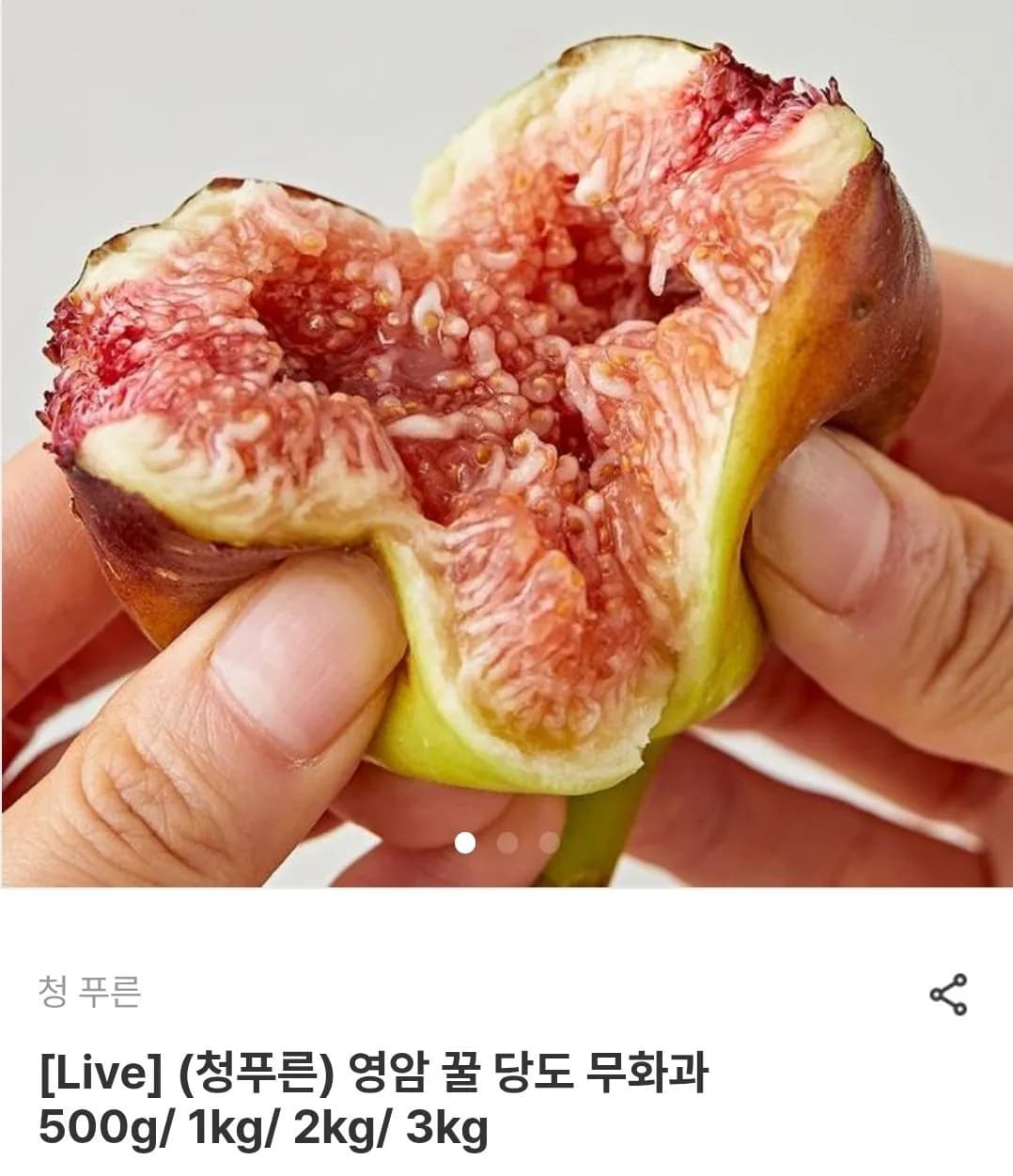 청푸른 영암 무화과 외 3종