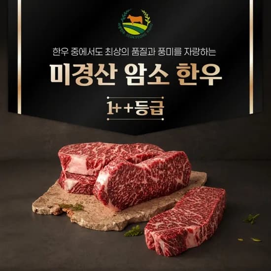 1++ 등급 미경산 암소한우 채끝 400g